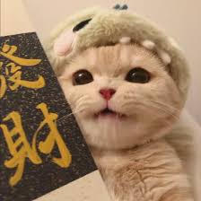 Ảnh đại diện người dùng Lê Thị Hồng